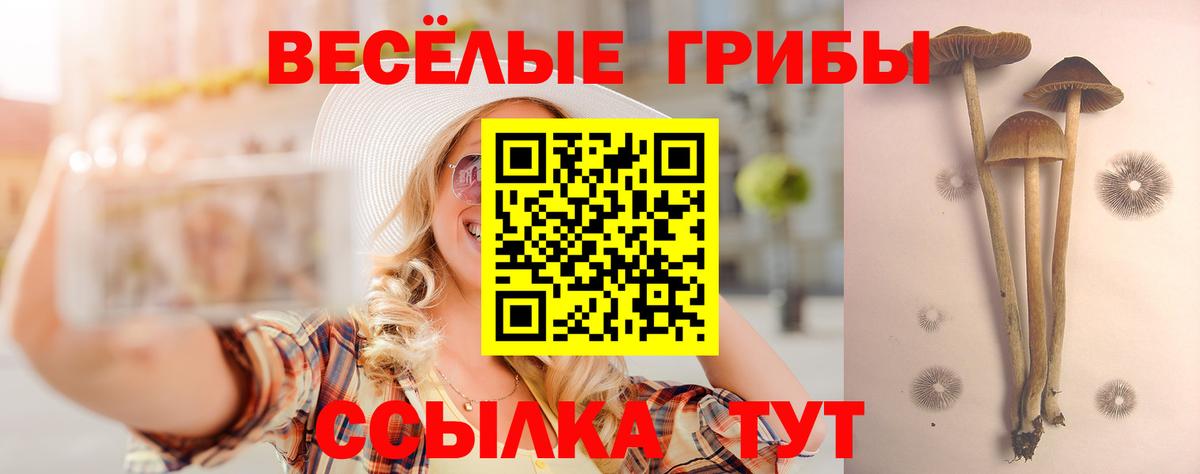 Новоуральск  продажа наркотиков  Вход с VPN  Галлюциногенные грибы мицелий 